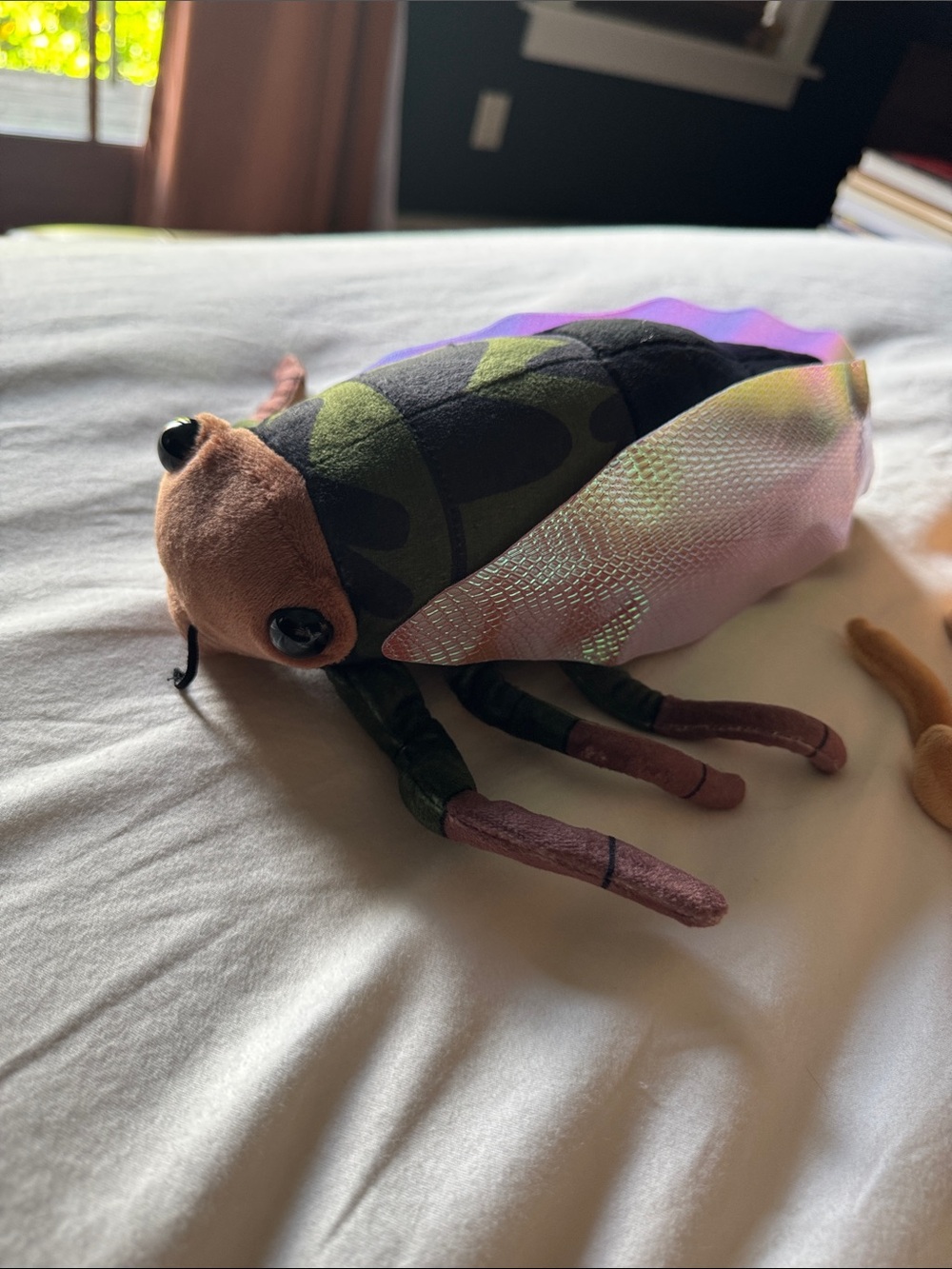Cicada plushie - Picture 6 of 7
